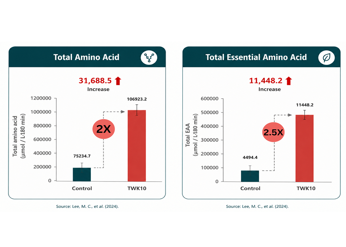 Enhance Amino Acid Absorption from Protein
