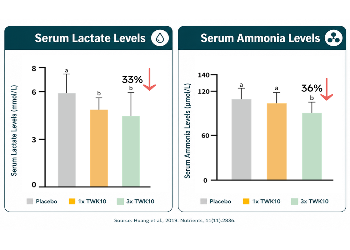 Support Post-exercise Fatigue Recovery