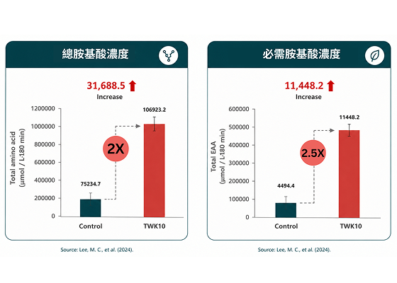 提升蛋白質胺基酸吸收效率