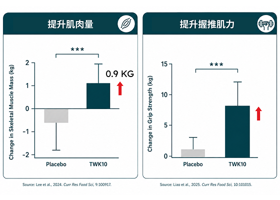 支持肌肉量與握力提升