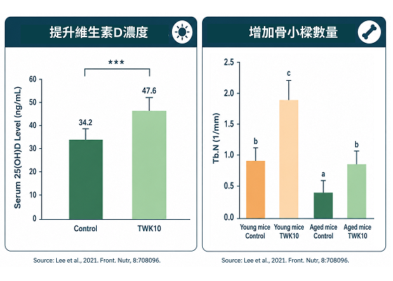 從維生素D調節切入，強化熟齡骨骼基礎