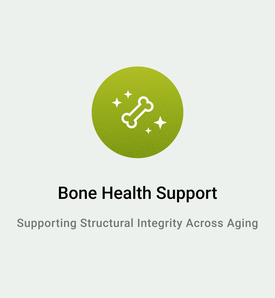 Bone Health Support: Supporting Structural Integrity Across Aging