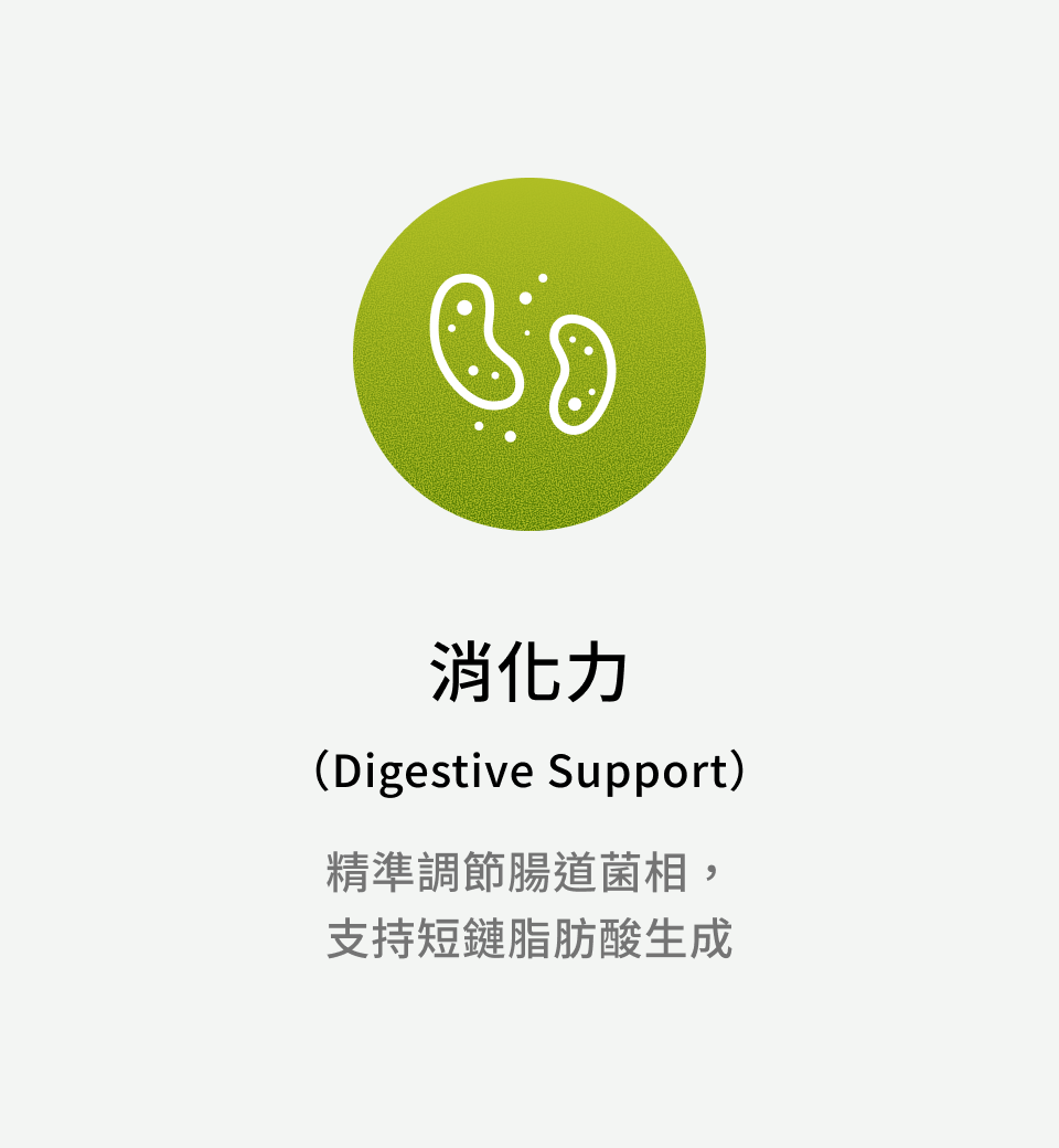 消化力（Digestive Support）：精準調節腸道菌相，支持短鏈脂肪酸生成