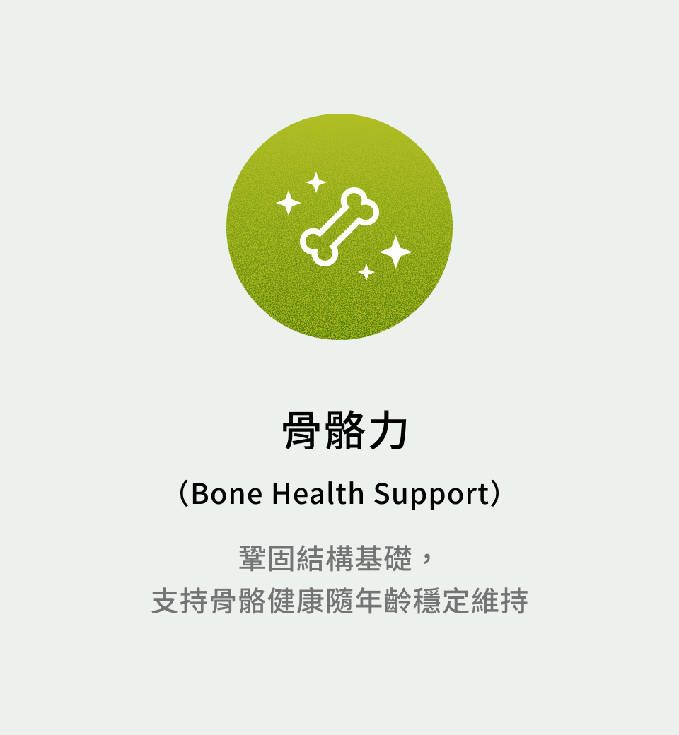 骨骼力（Bone Health Support）：鞏固結構基礎，支持骨骼健康隨年齡穩定維持