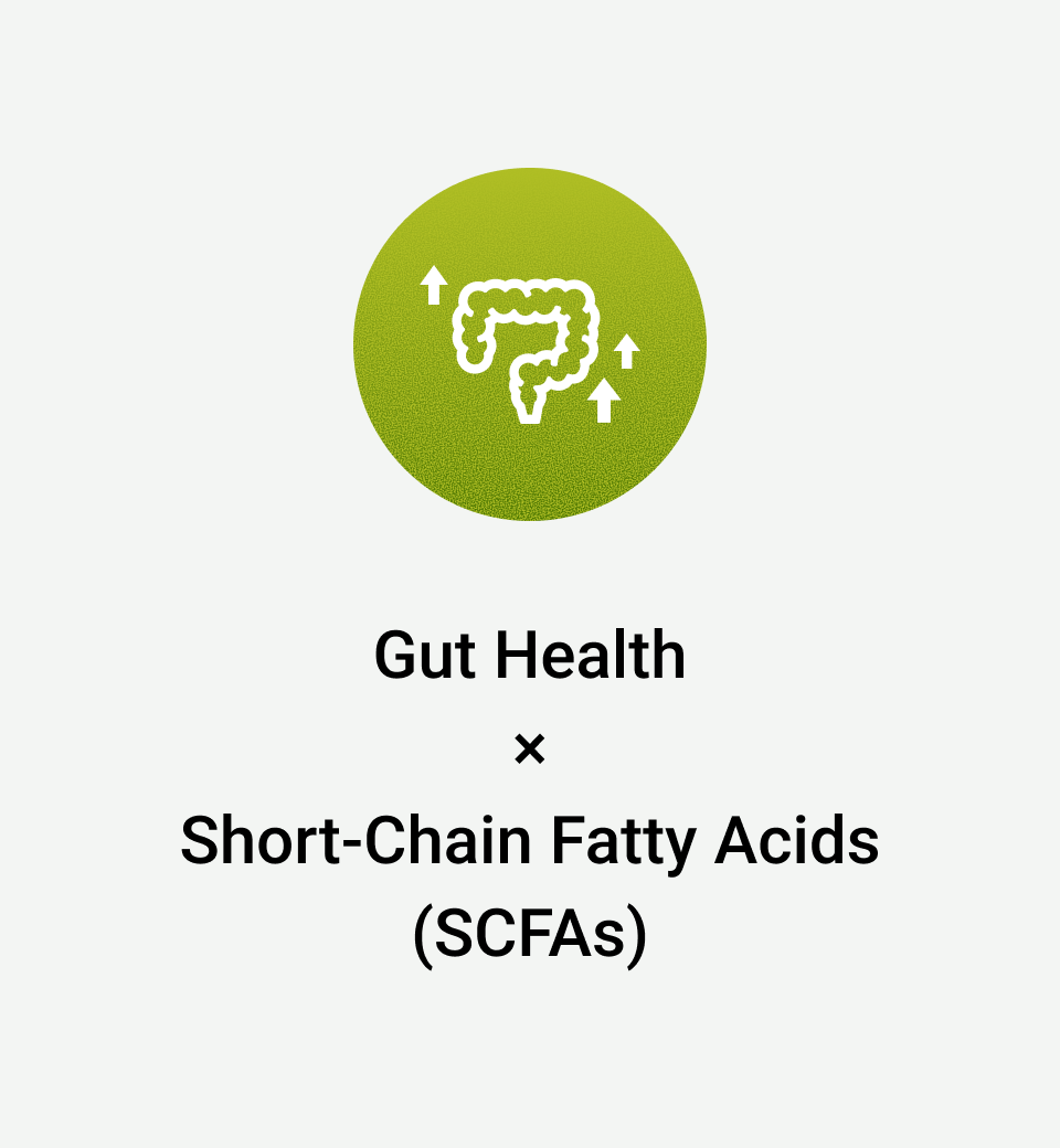 Gut Health × Short-Chain Fatty Acids (SCFAs)