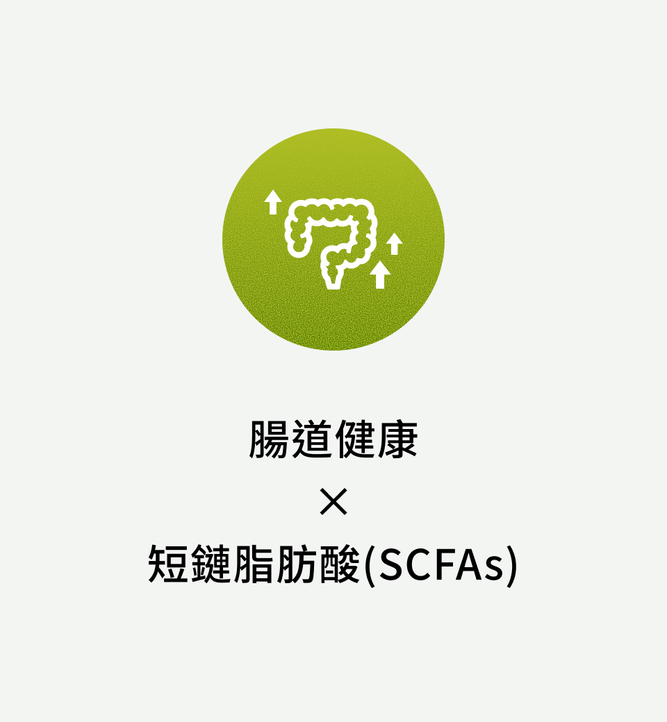 腸道健康 × 短鏈脂肪酸(SCFAs)