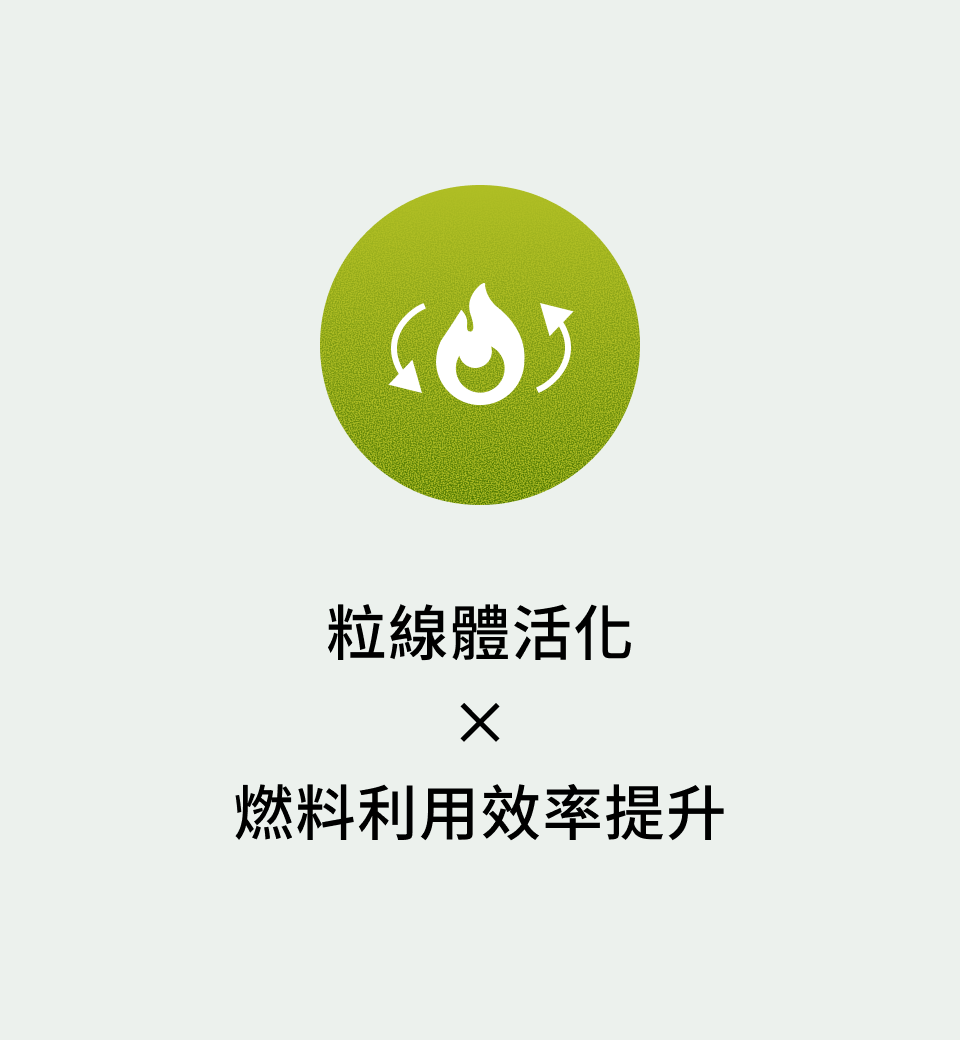 粒線體活化 × 燃料利用效率提升