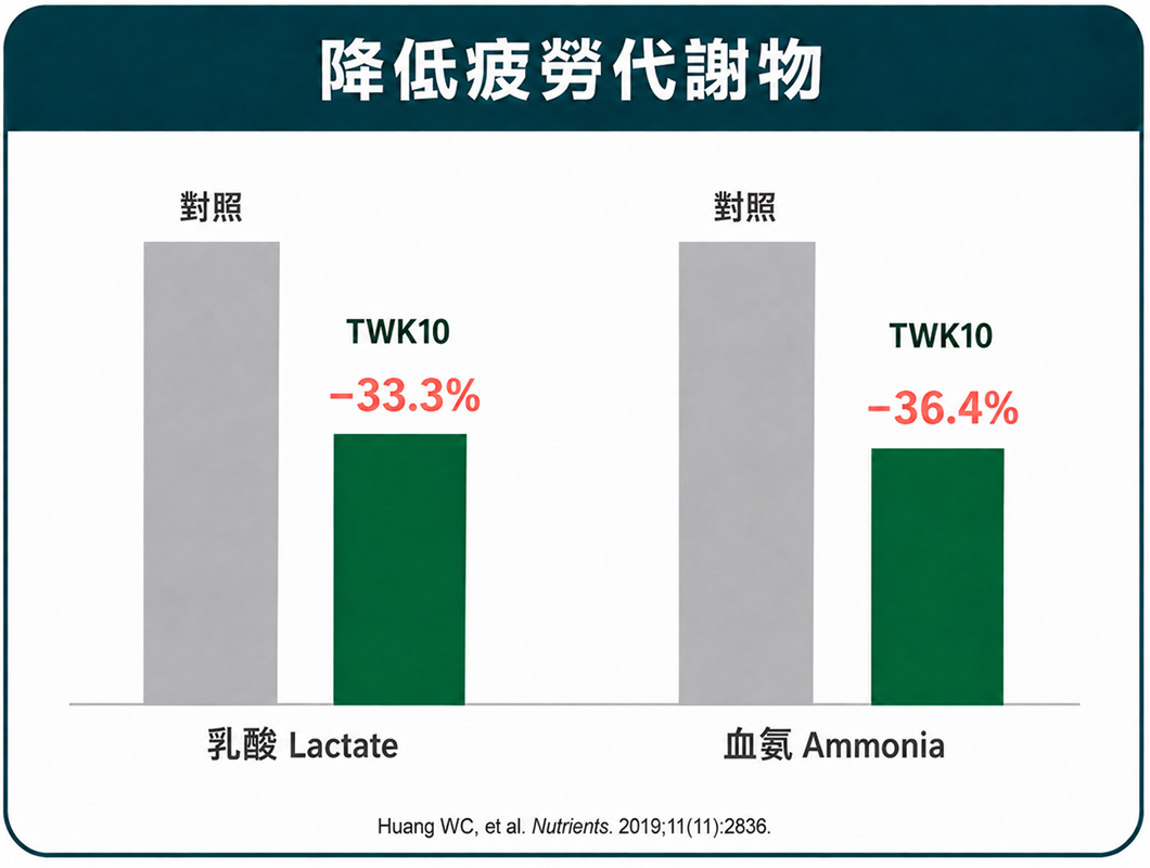 打造抗疲勞體質強化耐力與恢復